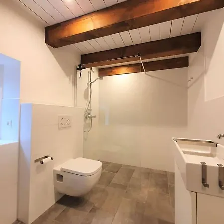 Alte Wassermuehle Gut Oestergaard *